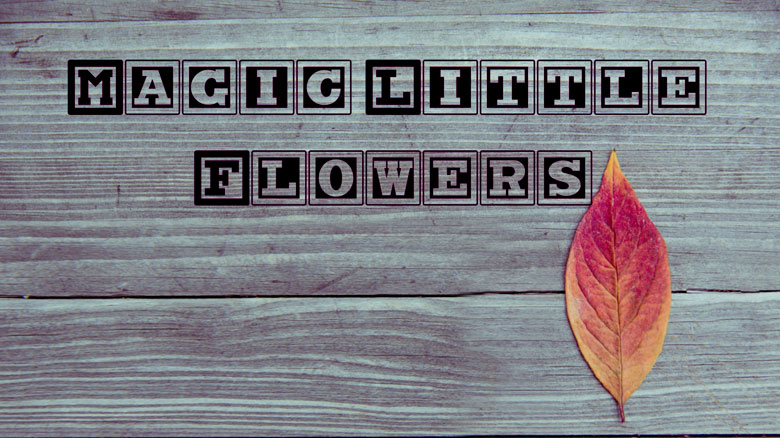 Magic Little Flowers — мобильная игра для детей в возрасте 4-6 лет от Radiobush