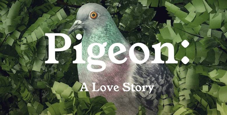 «Pigeon: A Love Story» – с высоты птичьего полета
