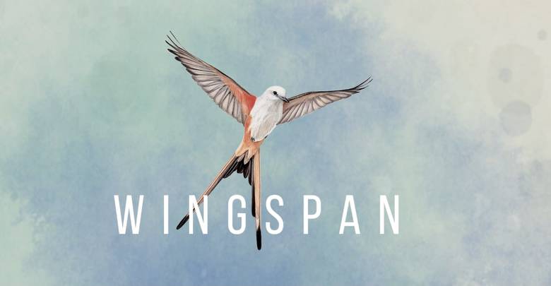 «Wingspan» – мечта орнитолога