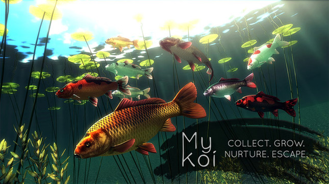 My Koi — ваш карманный пруд с рыбками